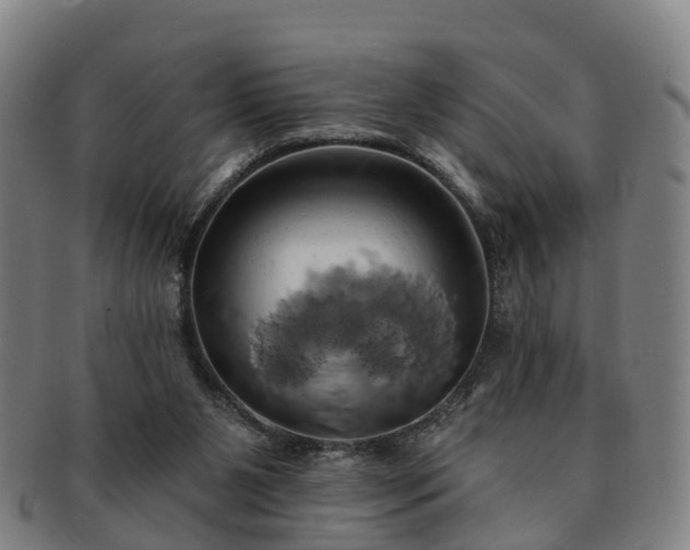 X0000091590111200708271252
