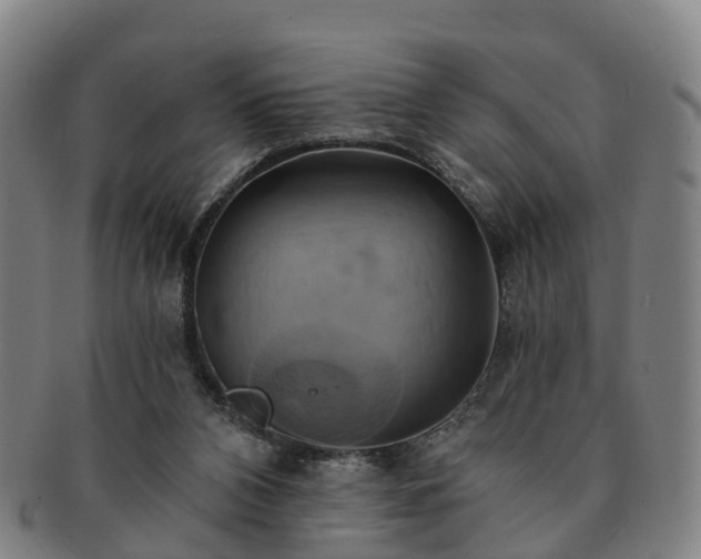 X0000091590112200708271252