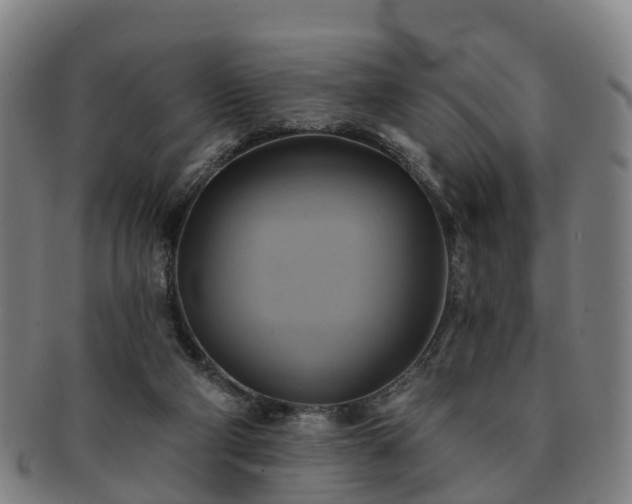 X0000091590114200708271252
