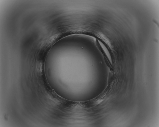 X0000091590115200708271252