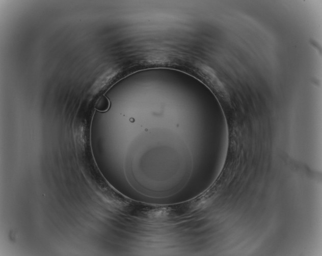 X0000091590116200708271252