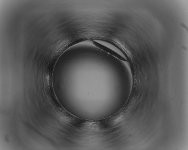 X0000091590117200708271252