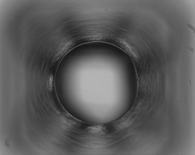 X0000091590118200708271252