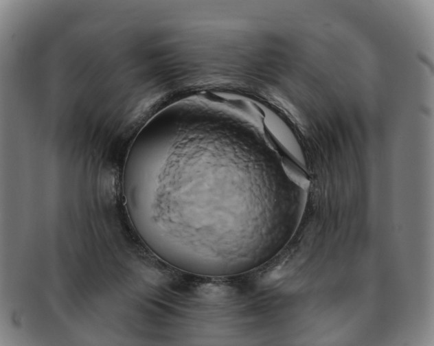 X0000091590119200708271252
