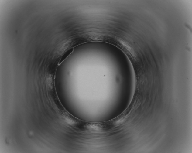 X0000091590121200708271252