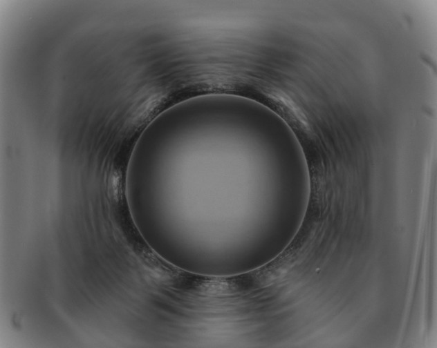X0000091590123200708271252
