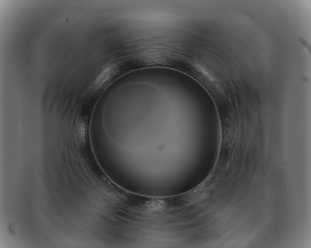 X0000091590124200708271252