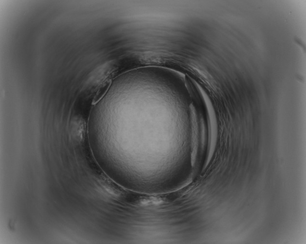 X0000091590125200708271252