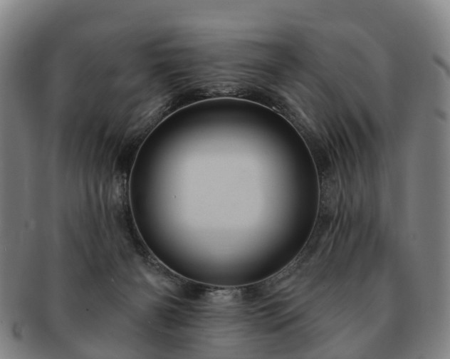 X0000091590126200708271252