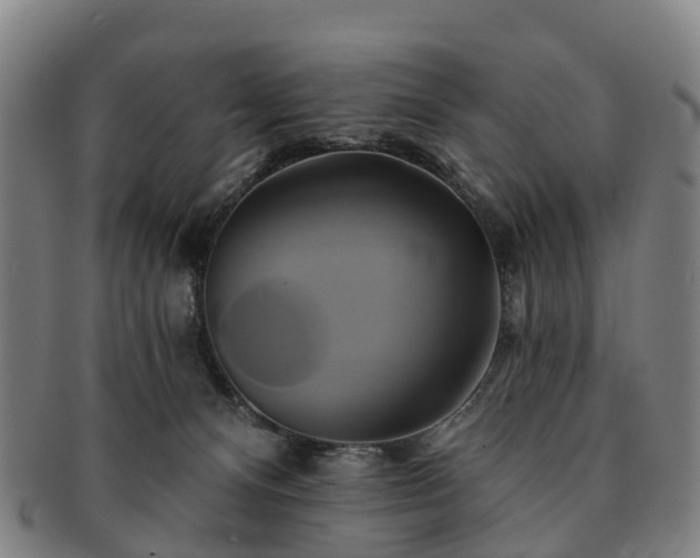 X0000091590128200708271252