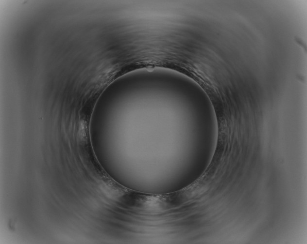 X0000091590130200708271252
