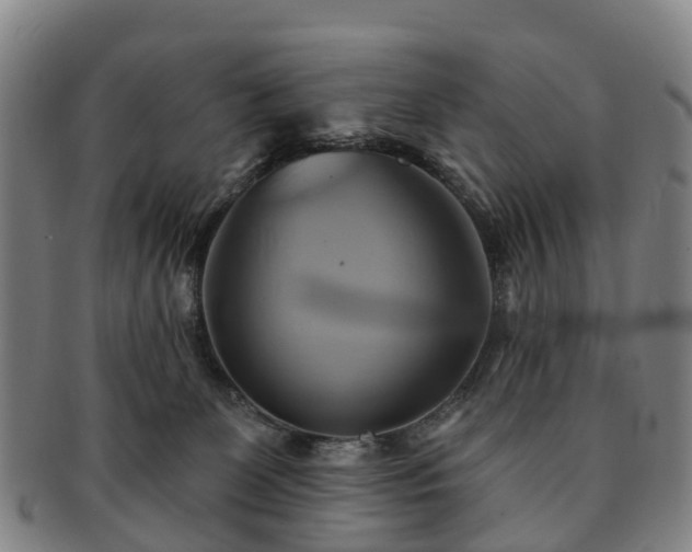 X0000091590131200708271252