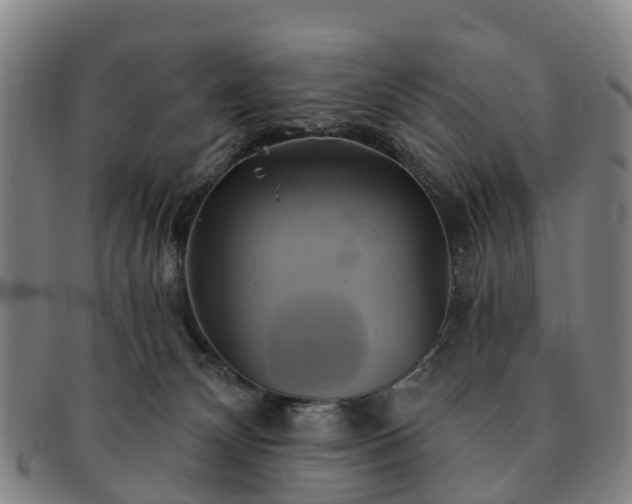 X0000091590132200708271252