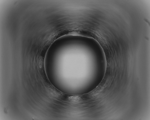 X0000091590133200708271252