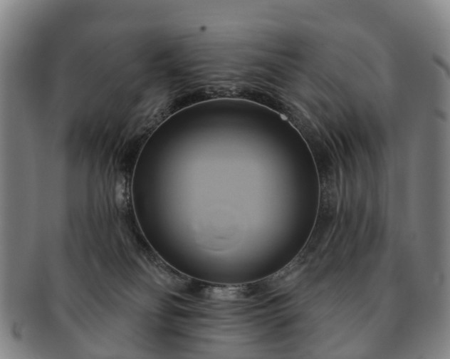 X0000091590134200708271252