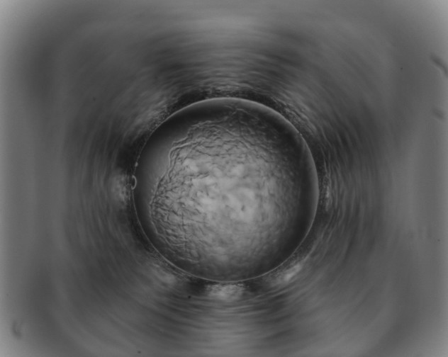X0000091590135200708271252