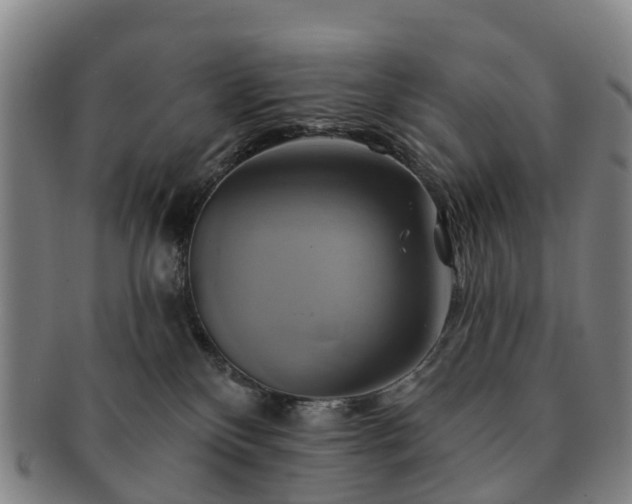 X0000091590136200708271252