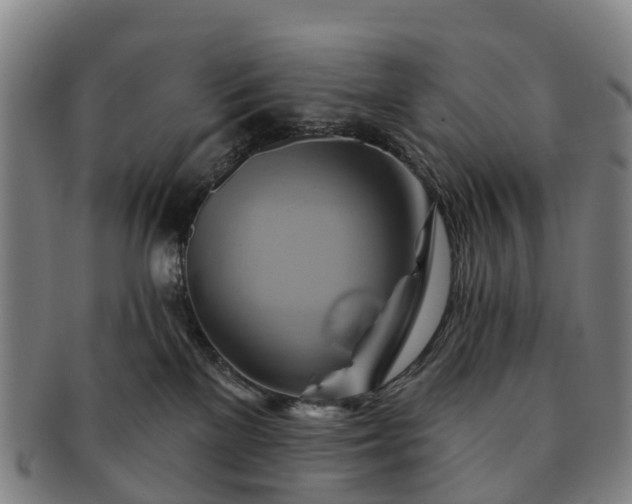 X0000091590137200708271252