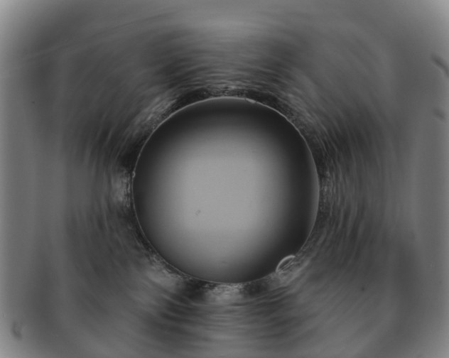 X0000091590138200708271252