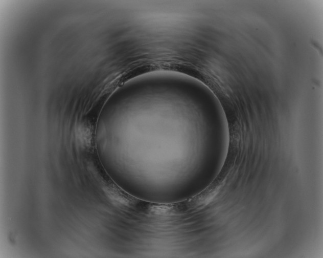 X0000091590139200708271252