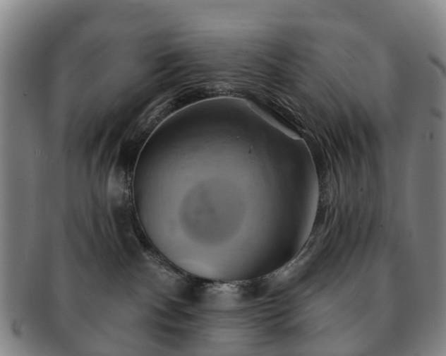 X0000091590140200708271252