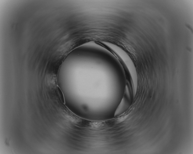 X0000091590141200708271252