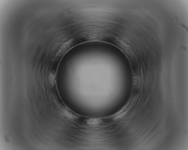 X0000091590142200708271252