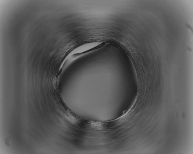 X0000091590144200708271252