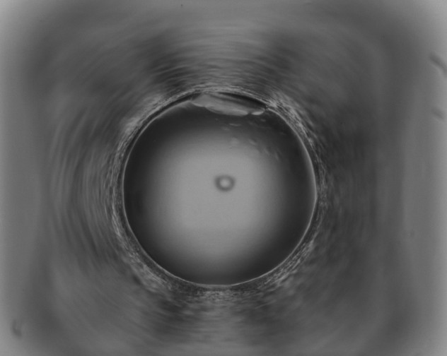 X0000091590145200708271251