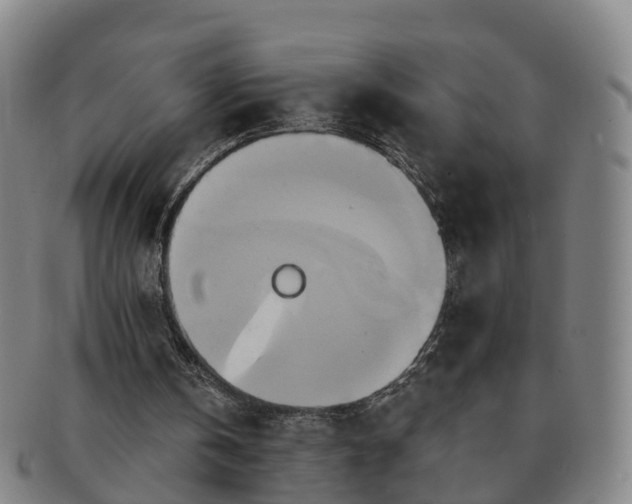 X0000091590146200708271251