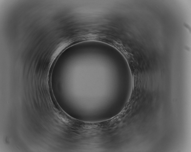 X0000091590147200708271251