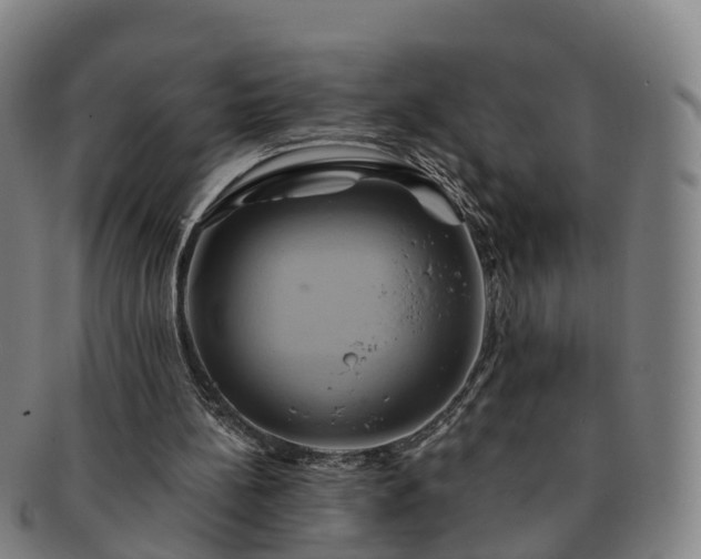 X0000091590148200708271251