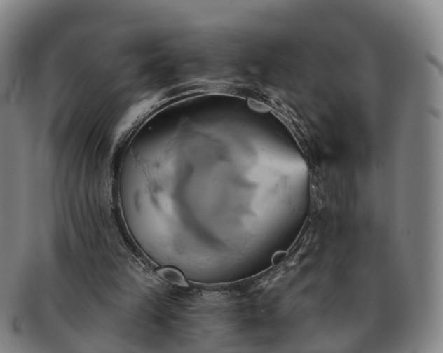 X0000091590149200708271251