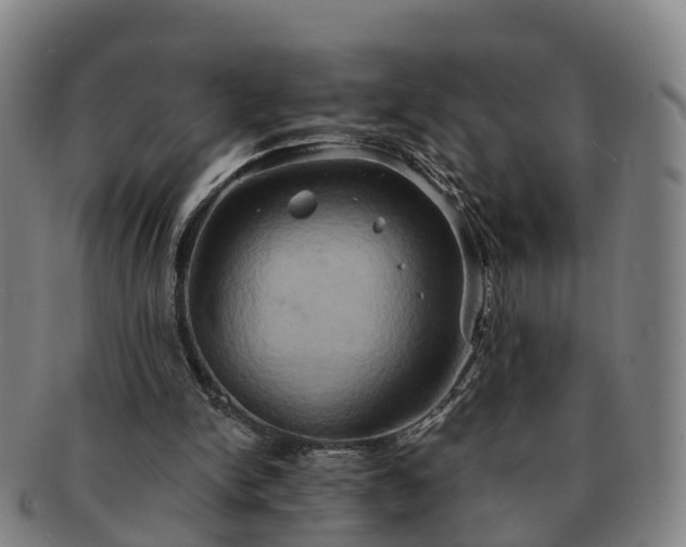 X0000091590150200708271251