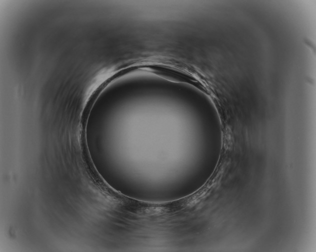 X0000091590152200708271251