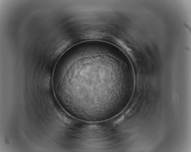 X0000091590153200708271251