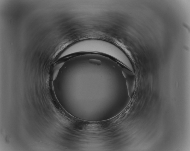 X0000091590154200708271251