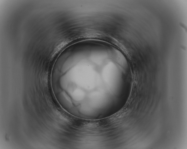 X0000091590155200708271251