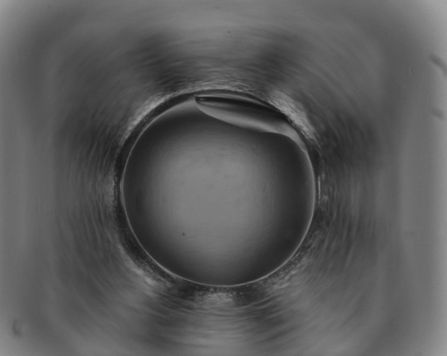 X0000091590156200708271251