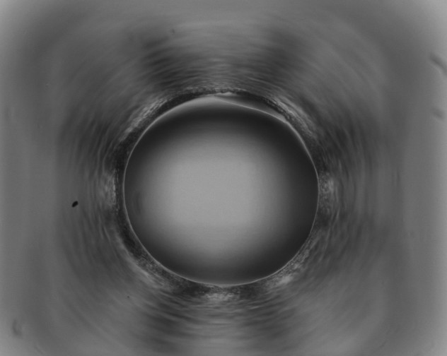 X0000091590158200708271251