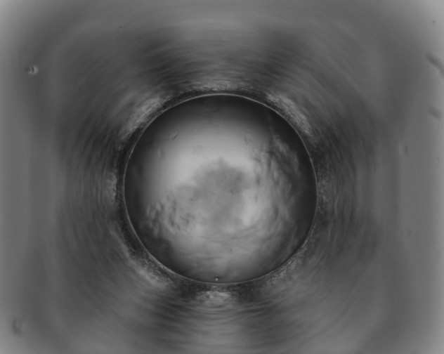 X0000091590159200708271251