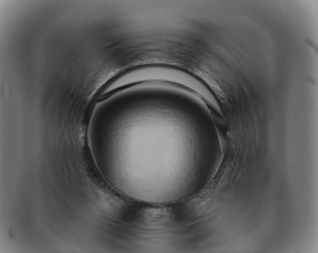 X0000091590160200708271251