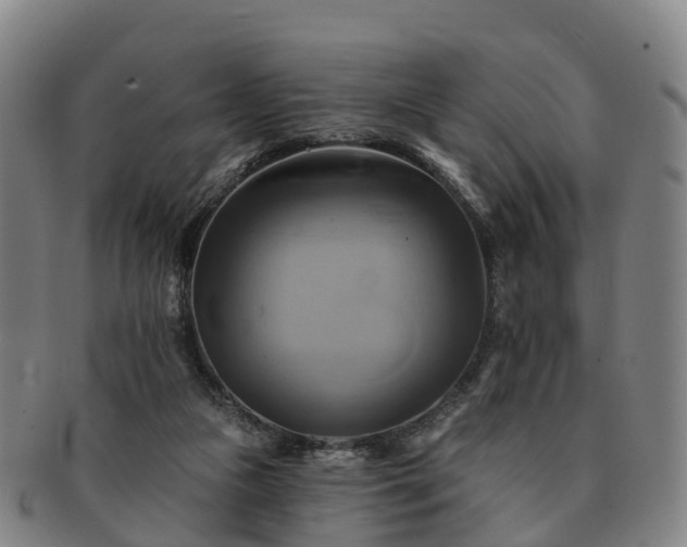 X0000091590161200708271251