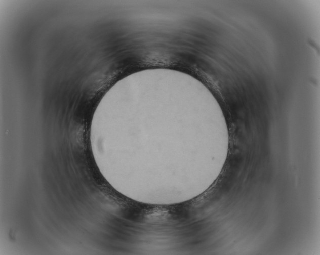 X0000091590162200708271251