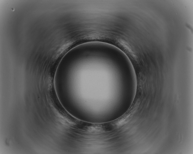 X0000091590164200708271251