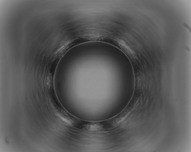 X0000091590165200708271251