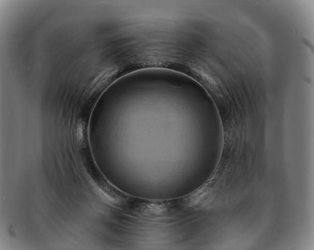 X0000091590166200708271251