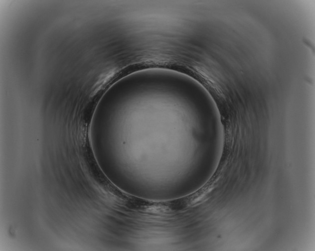 X0000091590168200708271251
