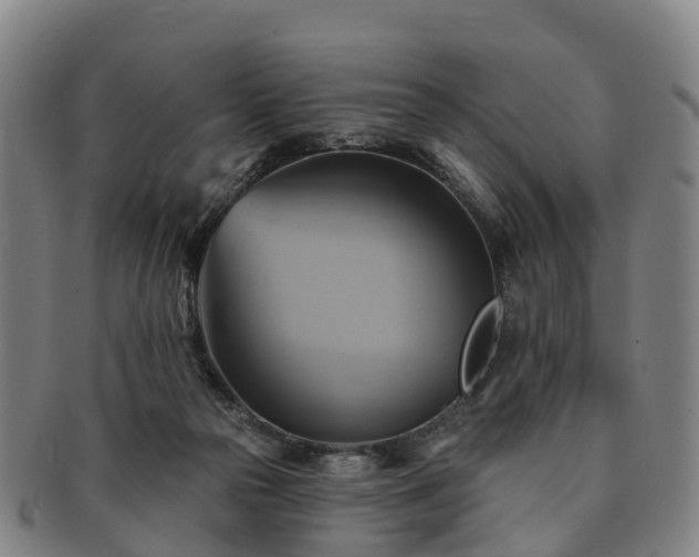 X0000091590169200708271251