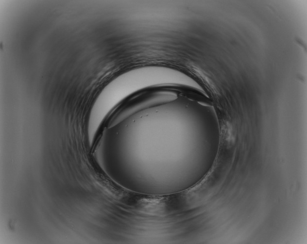 X0000091590170200708271251